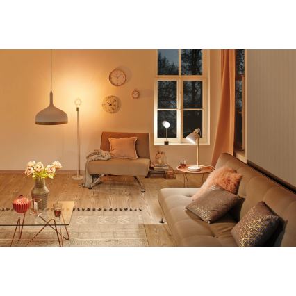 Paulmann 79688 - 1xG9/10W Настольная лампа NEORDIC MOA 230V