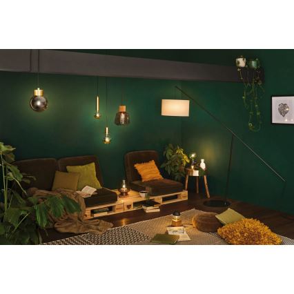 Paulmann 79736 - 1xE27/20W Настольная лампа IBEN 230V дымчатая