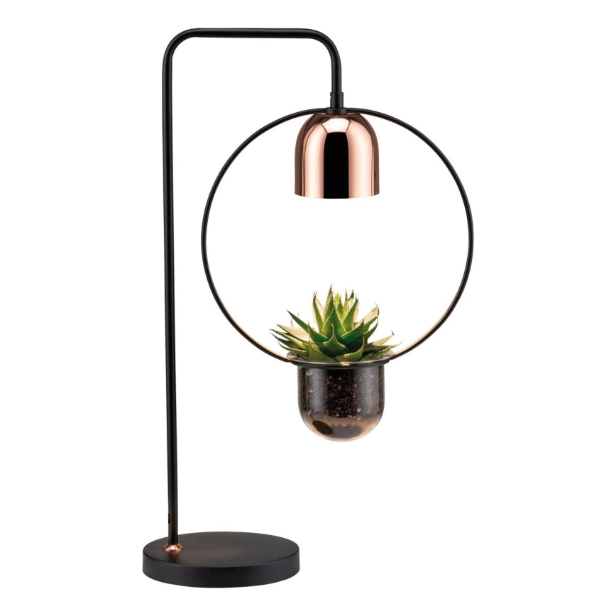 Paulmann 79746 - 1xGU10/20W Настольная лампа FANJA 230V дымчатая