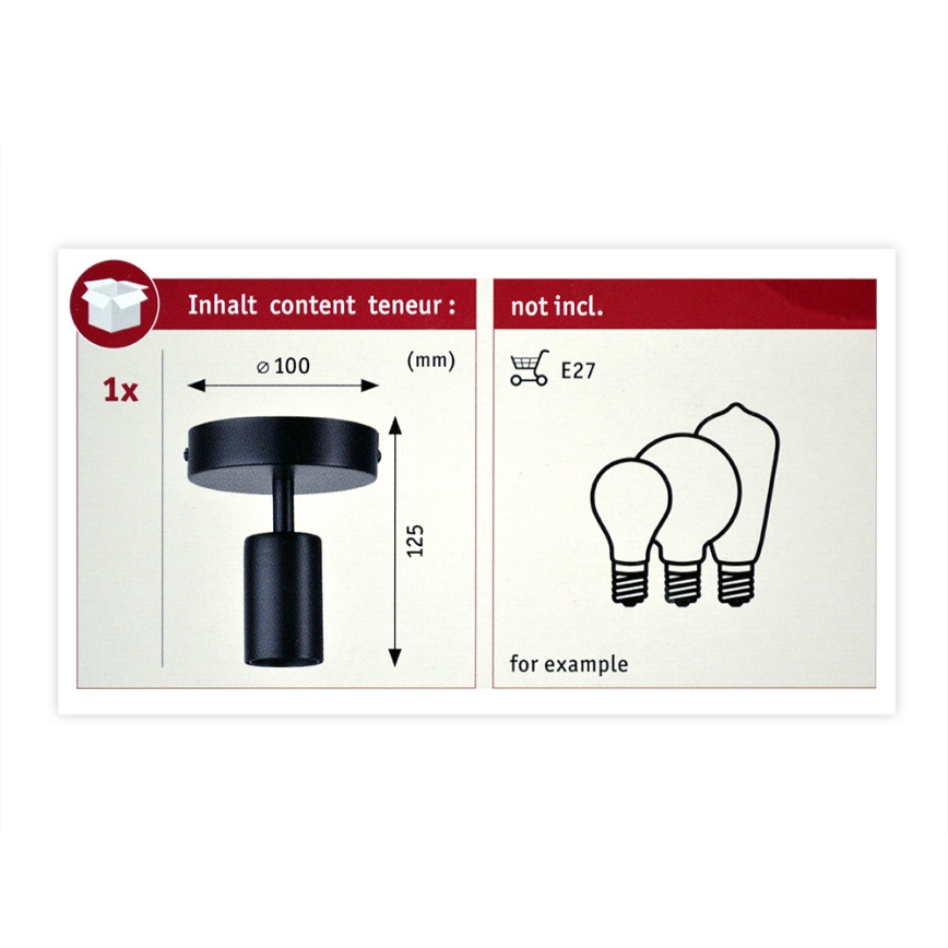 Paulmann 79760 - Потолочный светильник HALDOR 1xE27/20W/230V