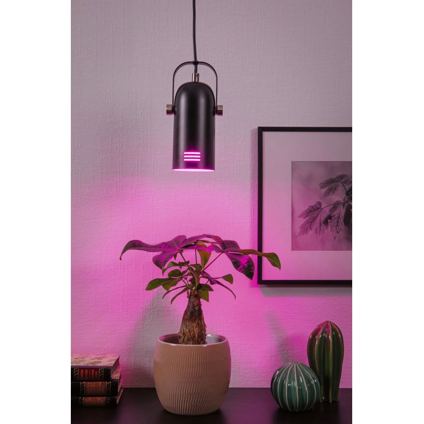 Paulmann 79766 - LED RGBW 1xE27/15W люстра на тросі LAVEA 230V чорна