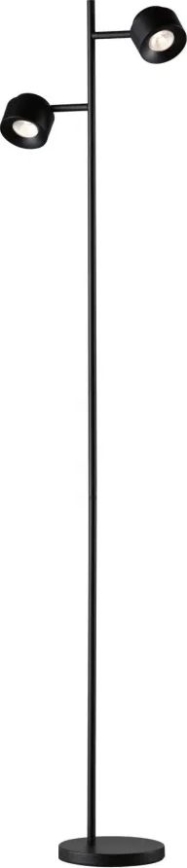 Paulmann 79775 - 2xLED/3W Торшер с регулированием яркости PURIK PANE 230V