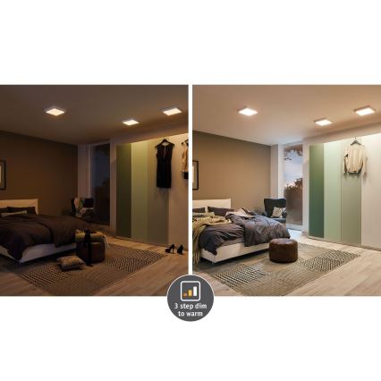 Paulmann 79791 - Потолочный светильник LED/10,2W CARPO 230V 2300-3000K