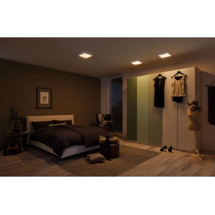 Paulmann 79794 - LED/13W Потолочный светильник CARPO 230V 2300/2500/3000K