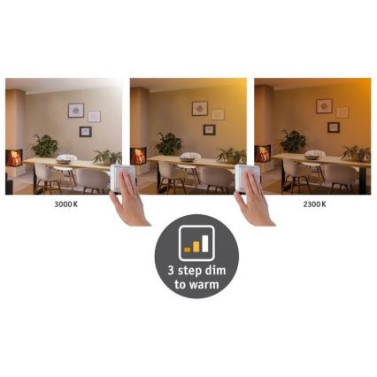 Paulmann 79794 - LED/13W Потолочный светильник CARPO 230V 2300/2500/3000K