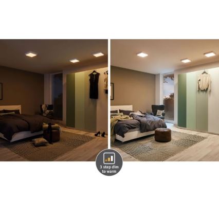 Paulmann 79794 - LED/13W Стельовий світильник CARPO 230V 2300/2500/3000K