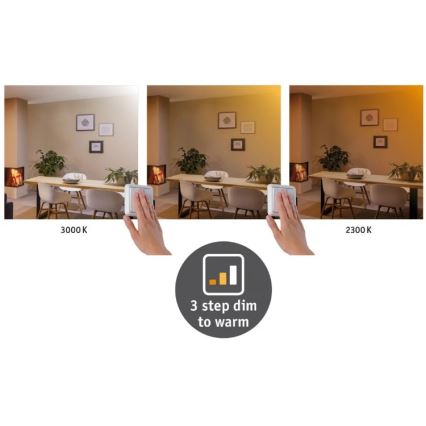 Paulmann 79795 - LED/13W Потолочный светильник CARPO 230V 2300/2500/3000K