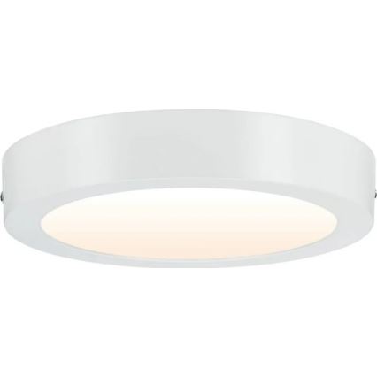 Paulmann 79795 - LED/13W Потолочный светильник CARPO 230V 2300/2500/3000K