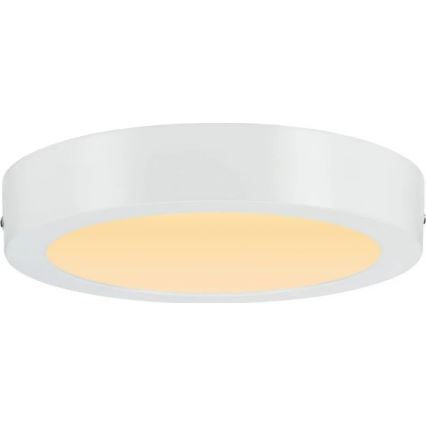 Paulmann 79795 - LED/13W Потолочный светильник CARPO 230V 2300/2500/3000K