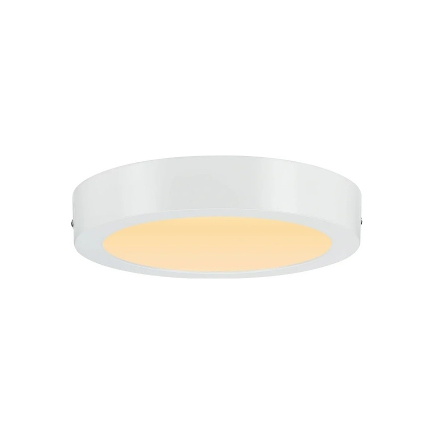 Paulmann 79795 - LED/13W Потолочный светильник CARPO 230V 2300/2500/3000K