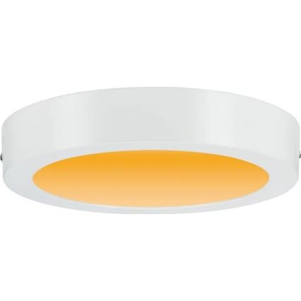 Paulmann 79795 - LED/13W Потолочный светильник CARPO 230V 2300/2500/3000K