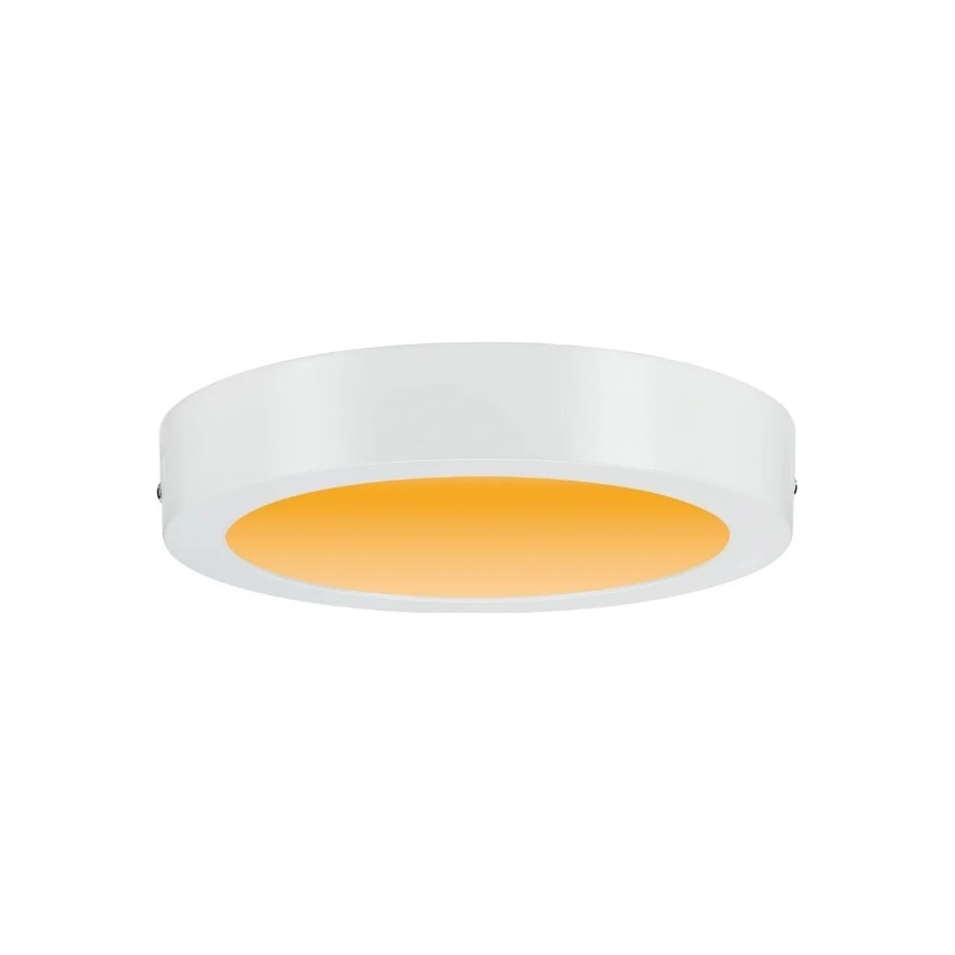Paulmann 79795 - LED/13W Потолочный светильник CARPO 230V 2300/2500/3000K