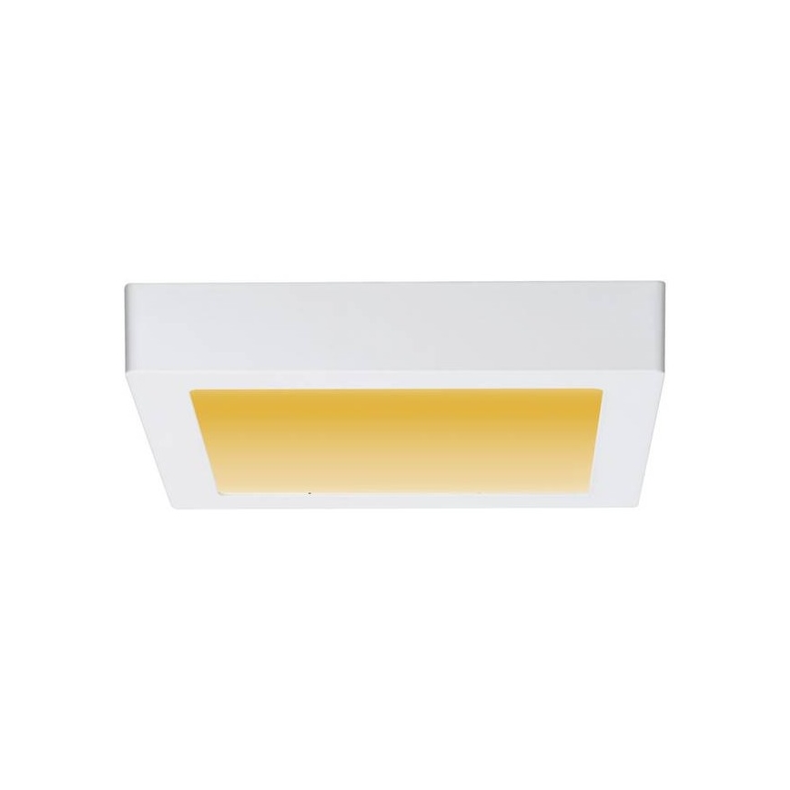 Paulmann 79796 - Потолочный светильник LED/13W CARPO 230V 2300-3000K