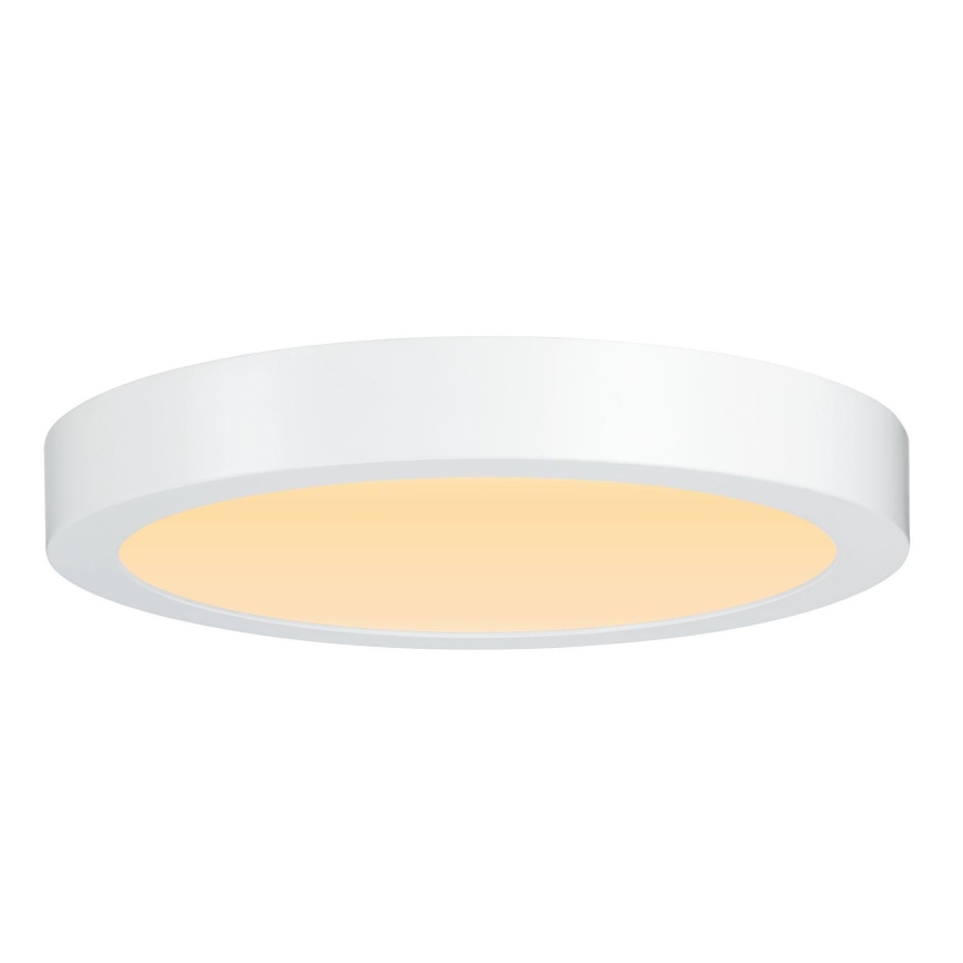 Paulmann 79799 - LED/19W Потолочный светильник CARPO 230V 2300/2500/3000K