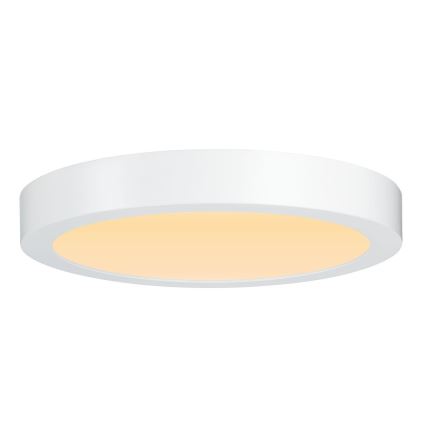 Paulmann 79799 - LED/19W Стельовий світильник CARPO 230V 2300/2500/3000K