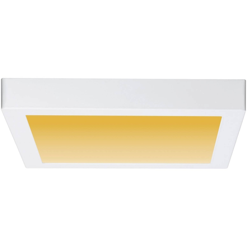 Paulmann 79801 - LED/13W Потолочный светильник CARPO 230V 2300/2500/3000K
