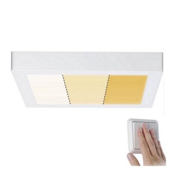 Paulmann 79801 - LED/13W Потолочный светильник CARPO 230V 2300/2500/3000K