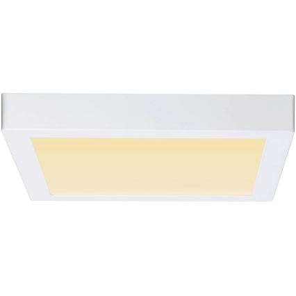Paulmann 79801 - LED/13W Стельовий світильник CARPO 230V 2300/2500/3000K