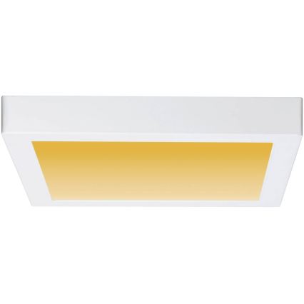 Paulmann 79801 - LED/13W Стельовий світильник CARPO 230V 2300/2500/3000K