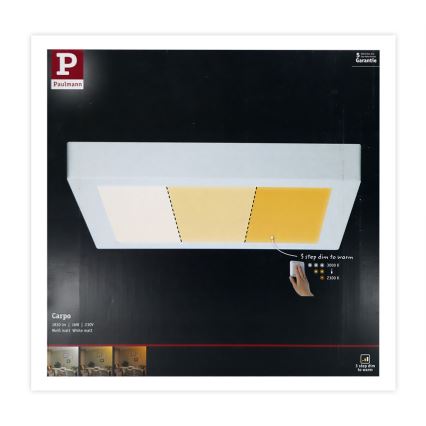 Paulmann 79801 - LED/13W Стельовий світильник CARPO 230V 2300/2500/3000K