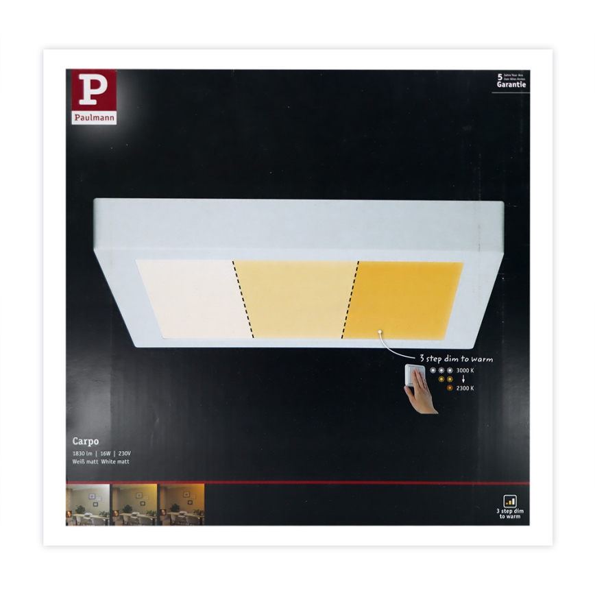 Paulmann 79801 - LED/13W Стельовий світильник CARPO 230V 2300/2500/3000K
