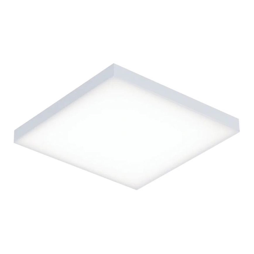 Paulmann 79820 - LED/12W Стельовий світильник з регулюванням яскравості VELORA 230V