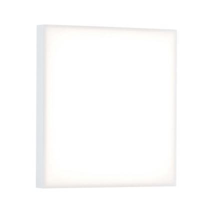 Paulmann 79820 - LED/12W Стельовий світильник з регулюванням яскравості VELORA 230V
