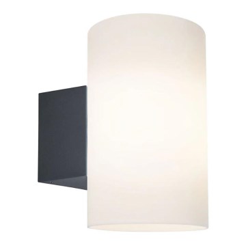 Paulmann 94186 - 1xE27/15W IP54 Вуличний настінний світильник TUBE 230V