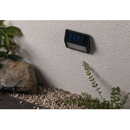 Paulmann 94234 - LED/0,05W IP44 Уличный светильник на солнечной батарее с датчиком DAYTON 1,2V 400 mAh