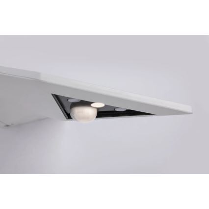 Paulmann 94244 - LED/1,2 Вт IP44 Солнечный настенный светильник с датчиком YOKO 3,7 В 1800 мА·ч белый