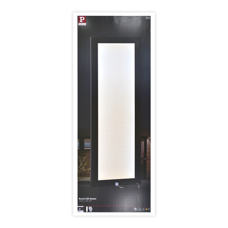 Paulmann 94257_1 - LED/19W IP44 Уличный потолочный светильник с датчиком 230V