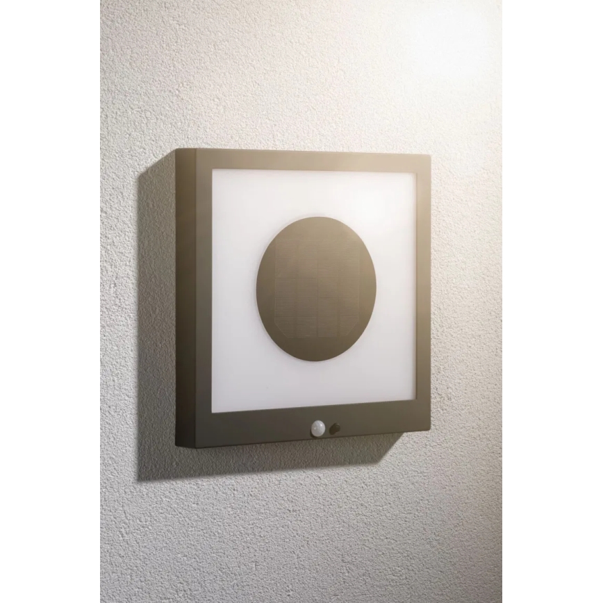 Paulmann 94263 - LED/1,2W IP44 Настенный светильник на солнечной батарее с датчиком TAIJA 3,7V