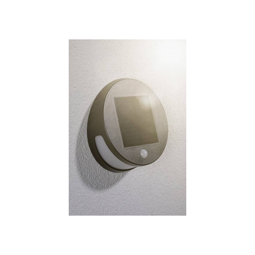 Paulmann 94265 - LED/3W IP44 Вуличний світильник з датчиком на сонячній батареї HELENA 3,7V