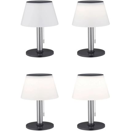 Paulmann 94309 - LED/0,8W IP44 Лампа на солнечной батарее с регулированием яркости LILLESOL 3,7V 2000 mAh