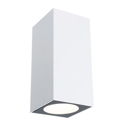 Paulmann 94330 - Уличный настенный светильник  FLAME 230V 2xLED/2,8W IP44 белый