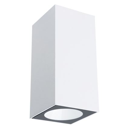 Paulmann 94330 - Уличный настенный светильник  FLAME 230V 2xLED/2,8W IP44 белый