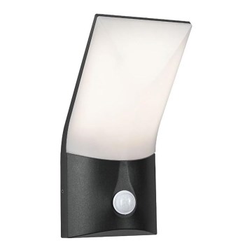Paulmann 94402 - LED/10W IP44 Вуличний настінний світильник з датчиком ADYA 230V