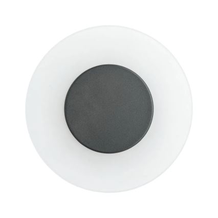 Paulmann 94409 - LED/4W IP44 Уличный настенный светильник CIRCEA 230V