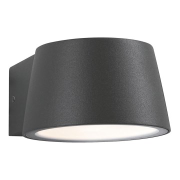 Paulmann 94452 - Уличный настенный светильник CAPEA 230V LED/6W IP44