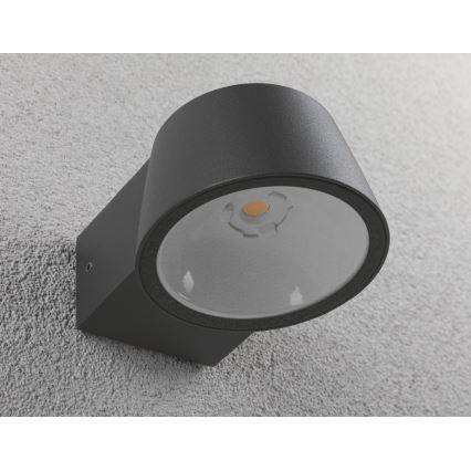 Paulmann 94452 - Уличный настенный светильник CAPEA 230V LED/6W IP44