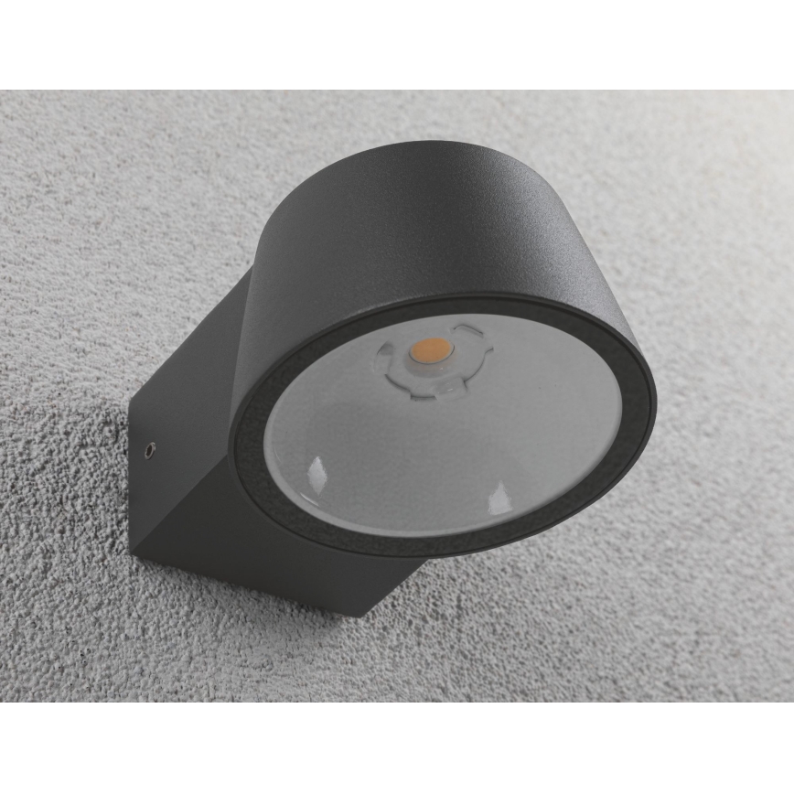 Paulmann 94452 - Уличный настенный светильник CAPEA 230V LED/6W IP44