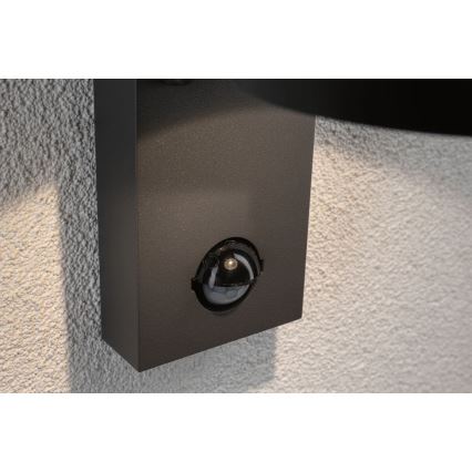 Paulmann 94453 - LED/6W IP44 Уличный настенный светильник с датчиком CAPEA 230V