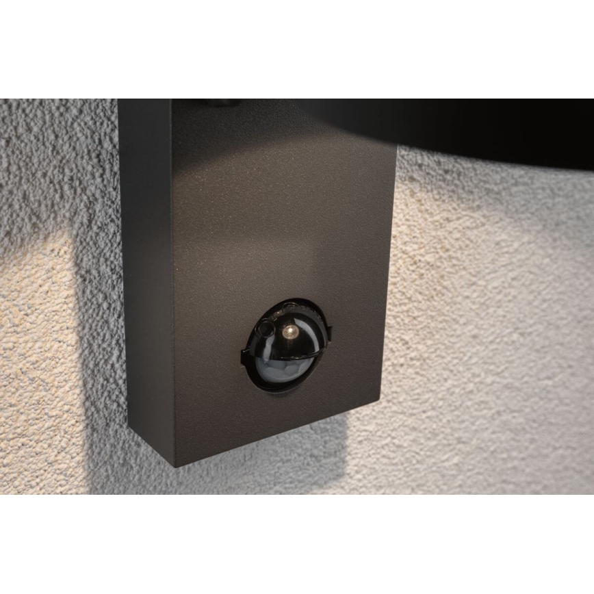 Paulmann 94453 - LED/6W IP44 Уличный настенный светильник с датчиком CAPEA 230V