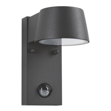 Paulmann 94453 - LED/6W IP44 Уличный настенный светильник с датчиком CAPEA 230V