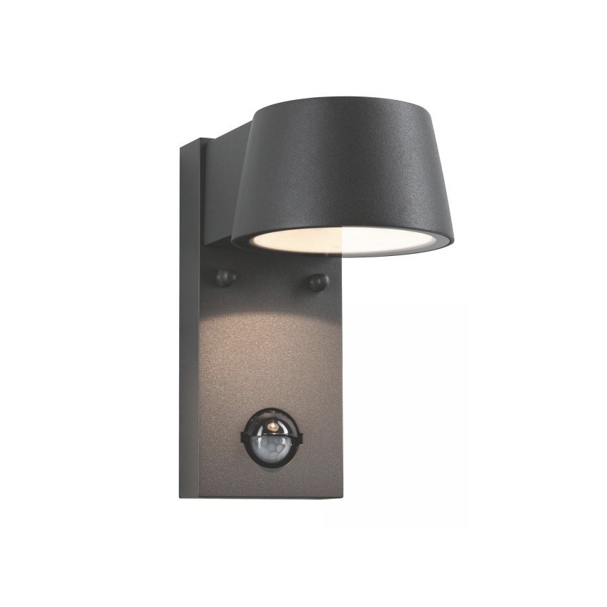 Paulmann 94453 - LED/6W IP44 Вуличний настінний світильник з датчиком CAPEA 230V
