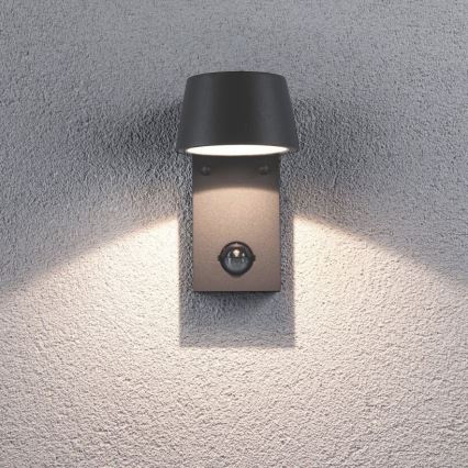 Paulmann 94453 - LED/6W IP44 Вуличний настінний світильник з датчиком CAPEA 230V