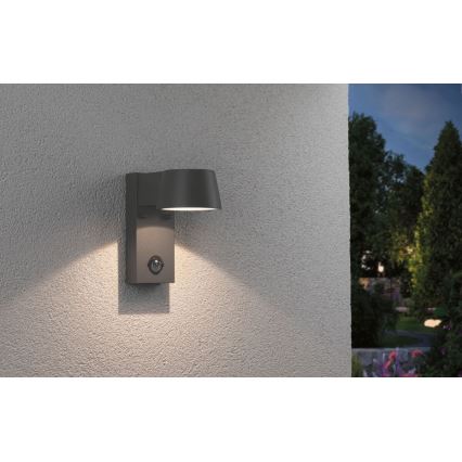 Paulmann 94453 - LED/6W IP44 Вуличний настінний світильник з датчиком CAPEA 230V