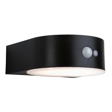 Paulmann 94570 - LED/5,5W IP44 Настінний світильник з датчиком на сонячній батареї EILEEN 3,7V
