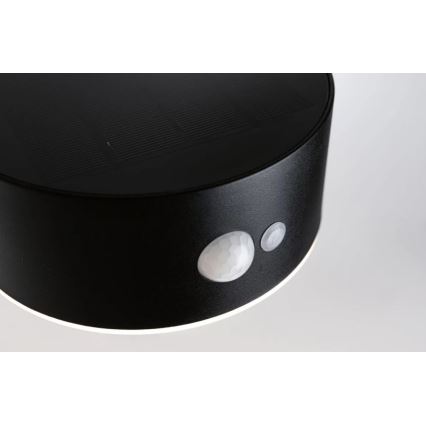 Paulmann 94570 - LED/5,5W IP44 Настінний світильник з датчиком на сонячній батареї EILEEN 3,7V