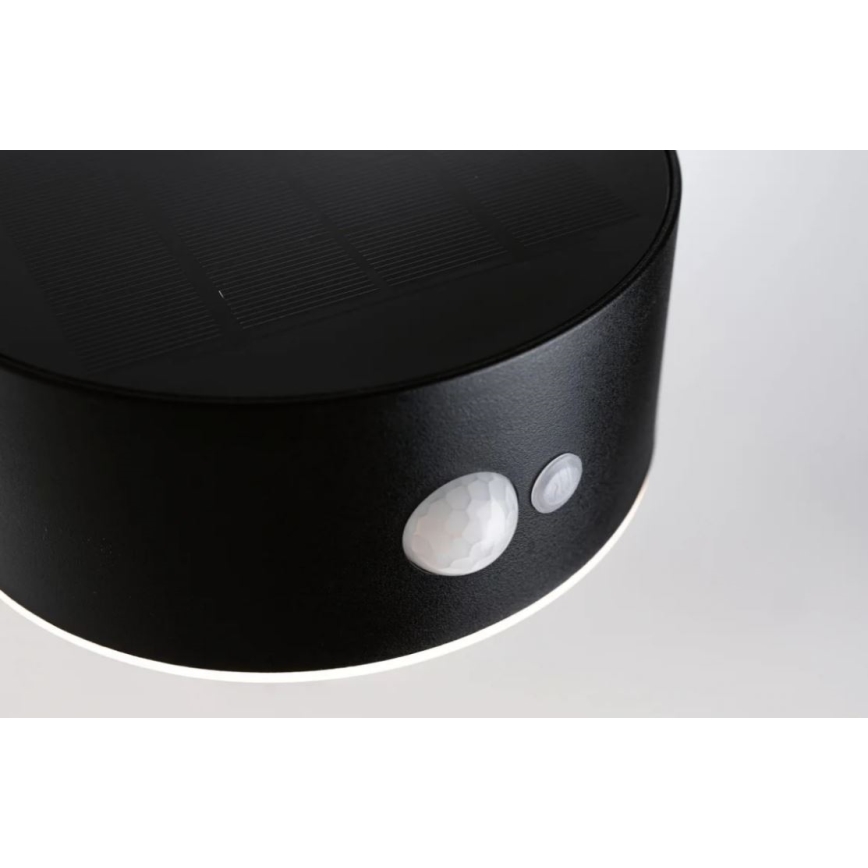 Paulmann 94570 - LED/5,5 Вт IP44 Сонячний настінний світильник із сенсором EILEEN 3,7В 2000 мАг